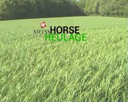 Swiss Heulage - ein hochwertiges Naturprodukt, frei von Giftpflanzen